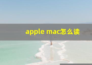 apple mac怎么读